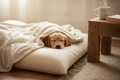Blanket